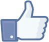 Like Txori
