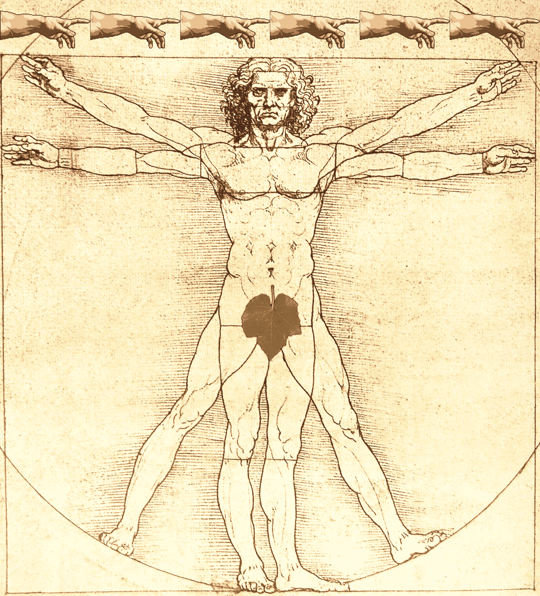 L'homme de Vitruve - Leonardo da Vinci - 1490