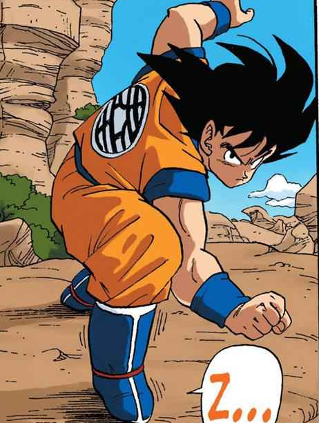 Goku( cara 2)